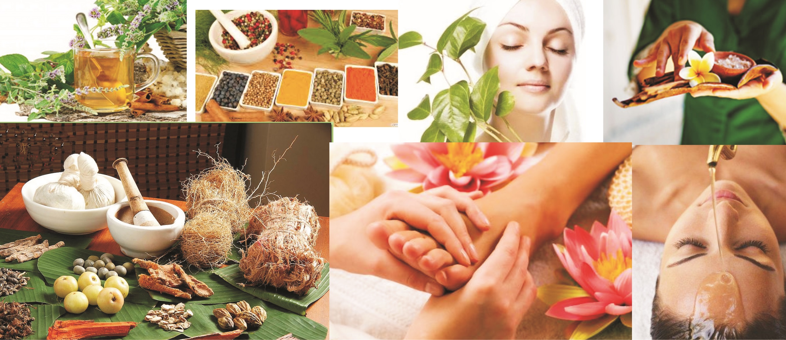  Diploma in Pharmacy-UP Vaid (Ayurvedic)